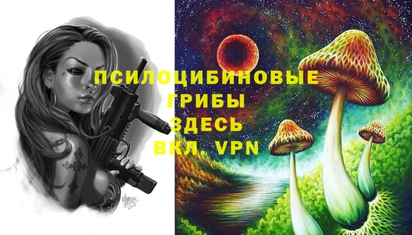 герыч Абаза
