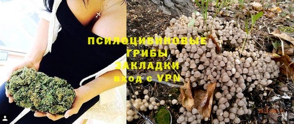 амф Алексин