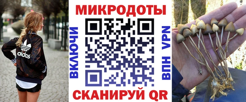 Галлюциногенные грибы прущие грибы  Новокубанск 