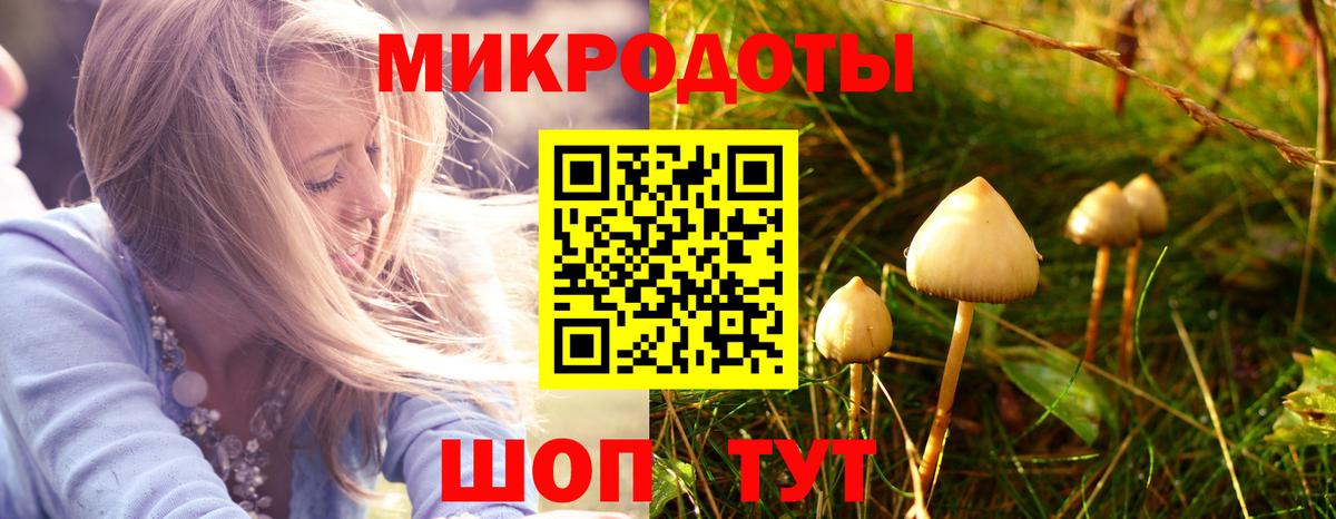 Псилоцибиновые грибы GOLDEN TEACHER  Вход с VPN  Псилоцибиновые грибы ЛСД  Новокубанск 